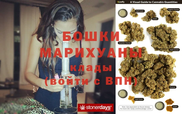 прущие грибы Верея