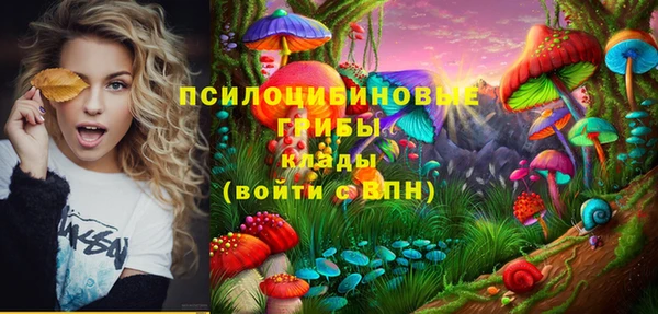 mdpv Верхний Тагил