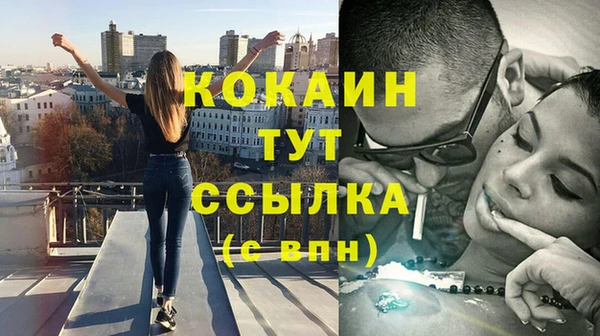 прущие грибы Верея
