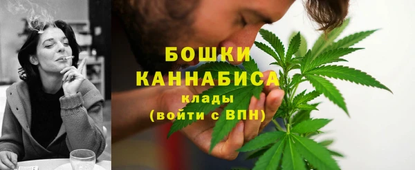 прущие грибы Верея