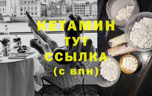 прущие грибы Верея