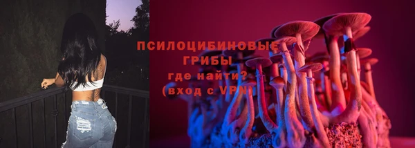 прущие грибы Верея