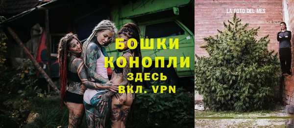 прущие грибы Верея