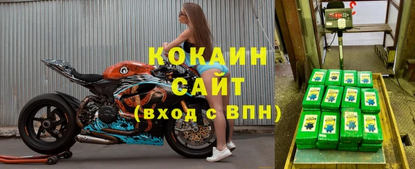 прущие грибы Верея