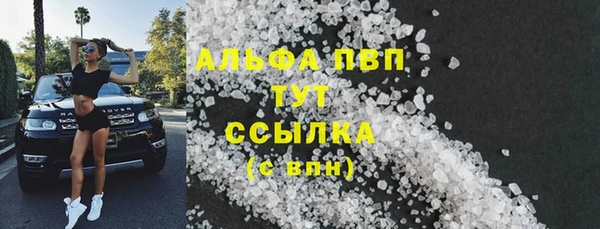 прущие грибы Верея