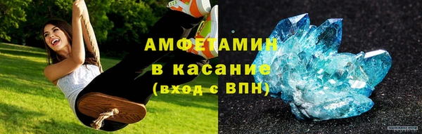 прущие грибы Верея